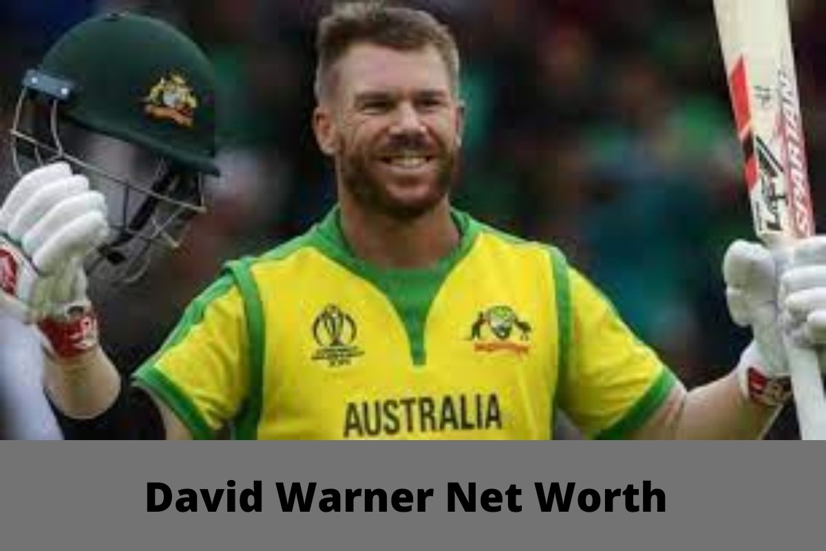 David Warner Net Worth