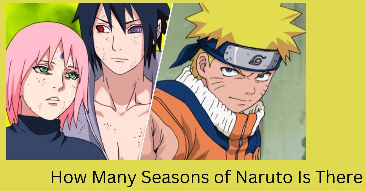 How Many Seasons of Naruto Is There