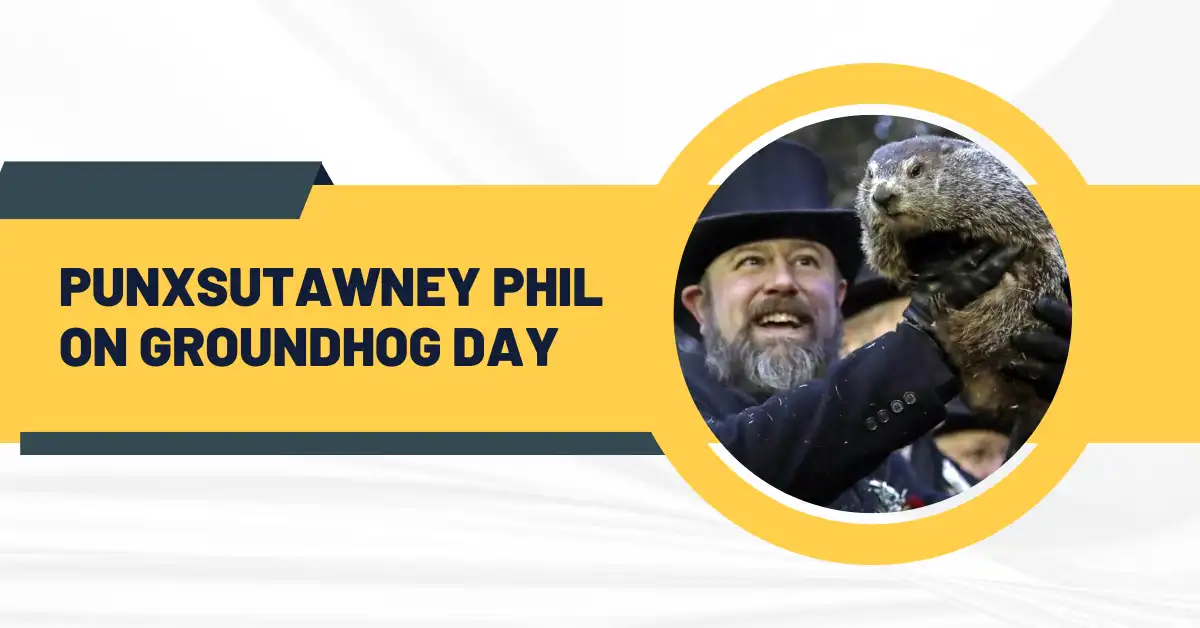 Punxsutawney Phil On Groundhog Day